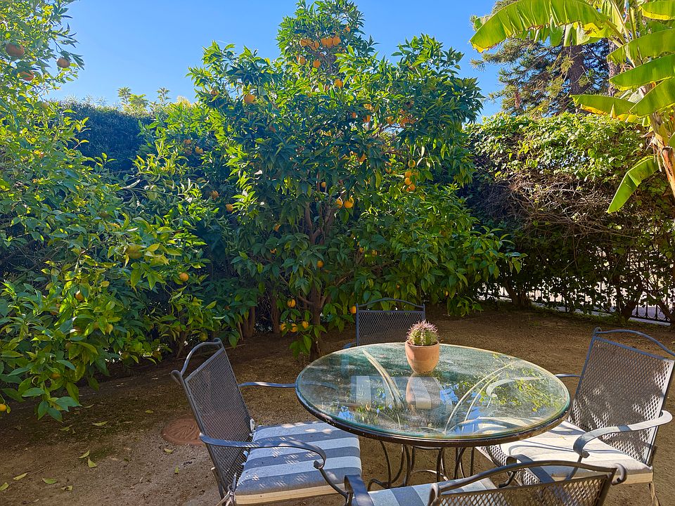 private front yard with blood orange and tangerine trees.