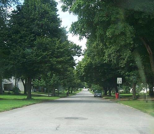 5th image of this home