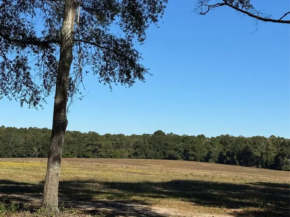 429 E Skyline Ave, Geneva, AL 36340