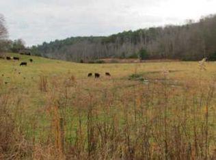 Snake Nation Rd, Blue Ridge, GA 30513