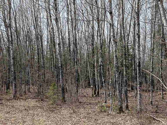3rd image of LOT 9 Lund Rd