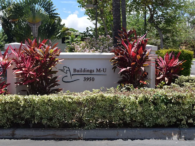 3950 Kalai Waa St #U201 — Photo 23