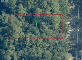 10305 N Allwood Ter, Citrus Springs, FL 34434