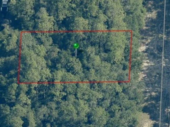 10305 N Allwood Ter, Citrus Springs, FL 34434