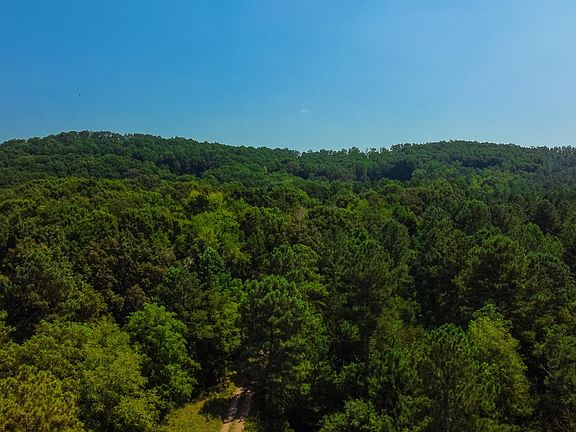 4th image of 1 County Road 351
