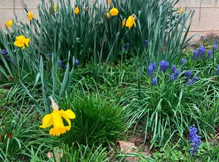 600 Center St, Exeter, MO 65647