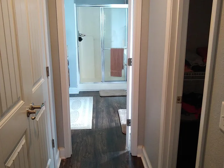 Master Bedroom Hallway/closets to master Bath