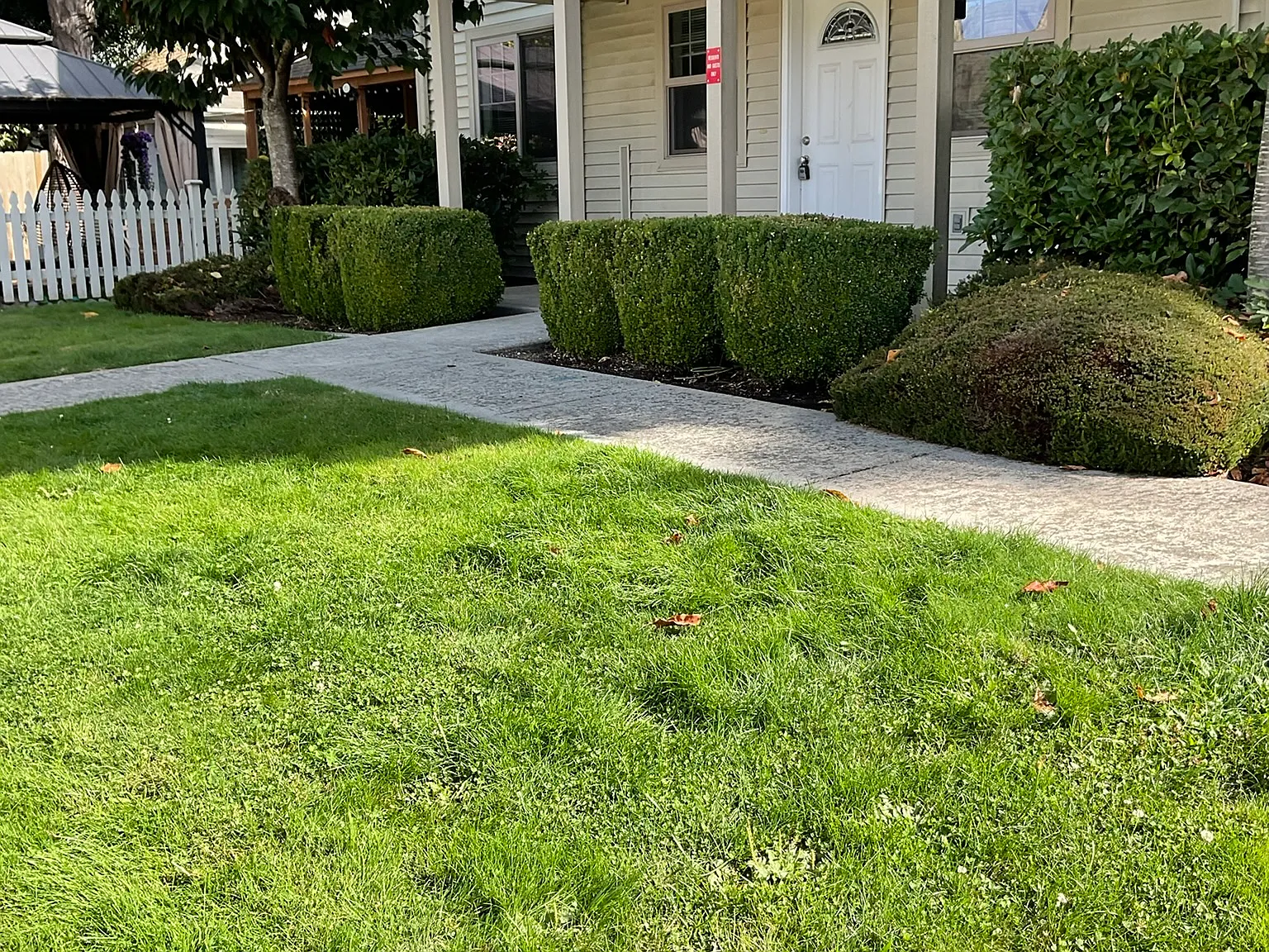 2 bed, 884 sqft, $1,850 — Photo 2