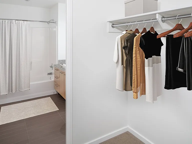 Primary Closet and Bath