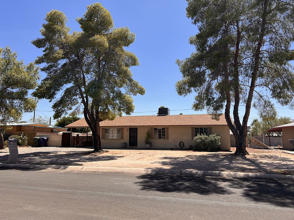Shade Trees in Front!