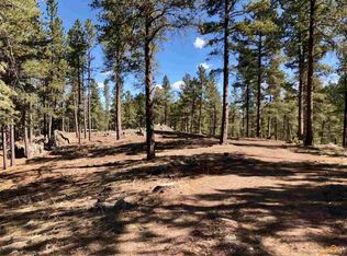 Placer Place Ct, Rapid City, SD 57702