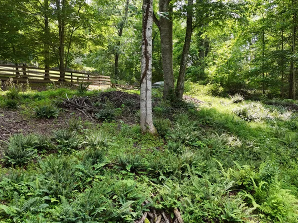 Township Road 1 Atwood Point, Butler, TN 37640