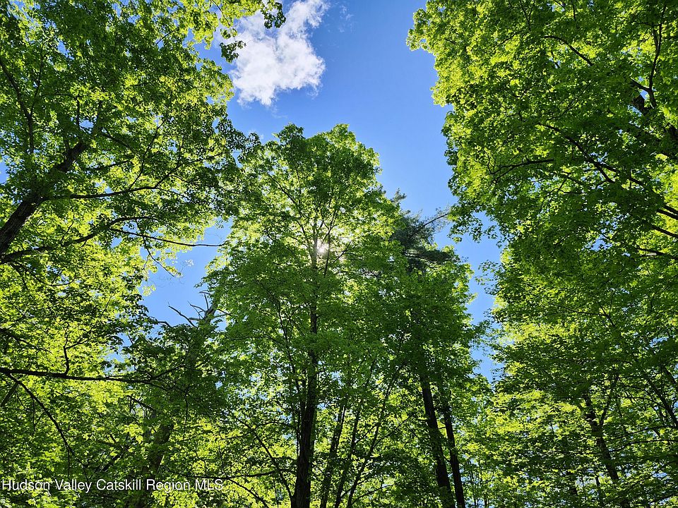 1st image of Tbd Upper Samsonville Road