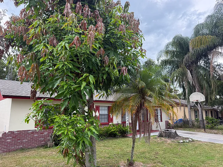 4403 Dolphin Dr — Photo 4