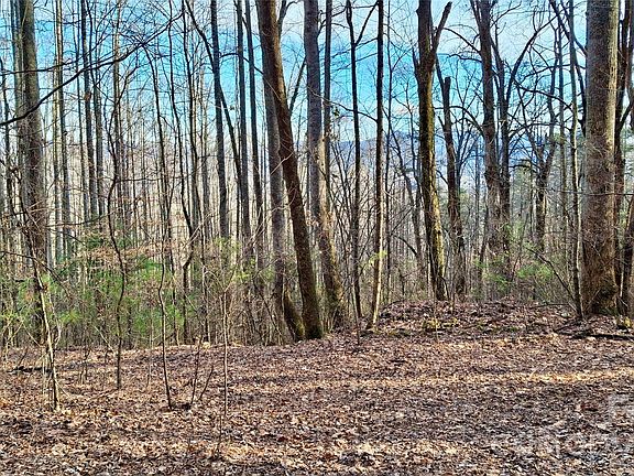 3rd image of 0 Briarwood Rd