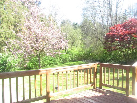 view from front deck