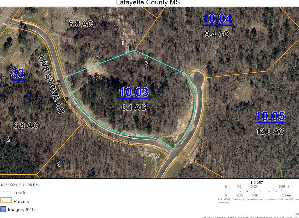2nd image of 103 Live Strive Ln