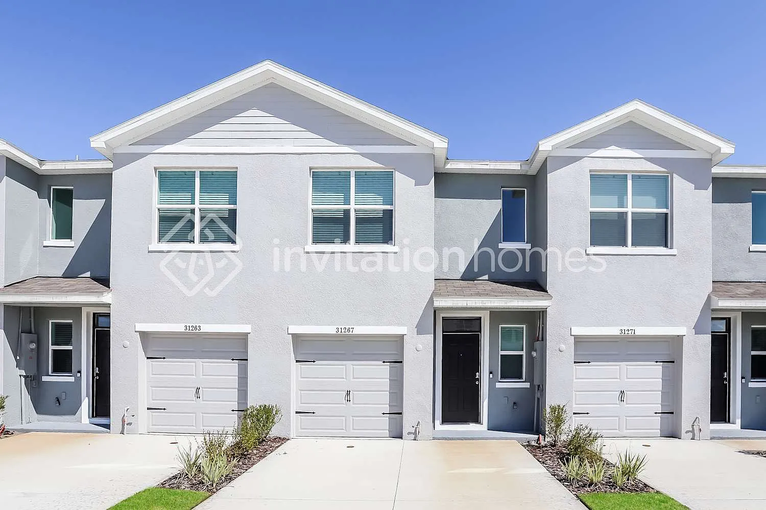 31267 Monterey Pine St Wesley Chapel, FL 33545 — Photo 1