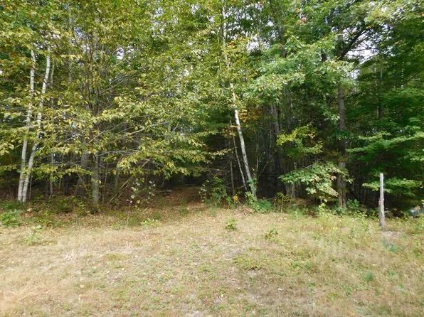 m 8 lot 12 bennoch Road, Alton, ME 04468