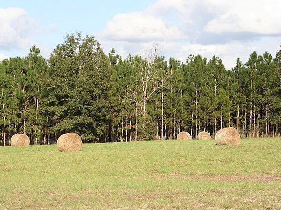 2nd image of NE County Road 337
