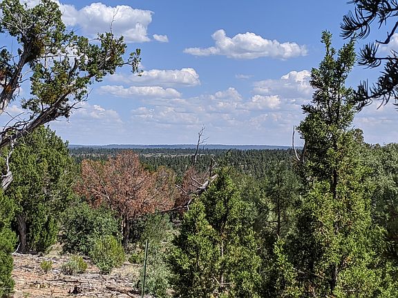 5th image of 1489 Low Mountain Trl