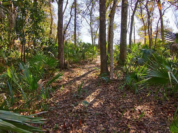 3rd image of 1847 Spruce Creek Blvd