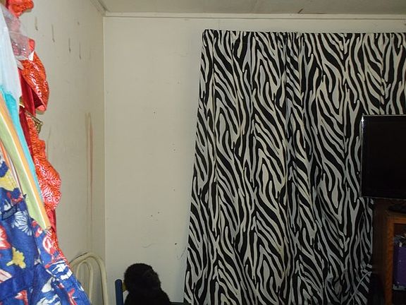 4th image of 1007 N Terry St
