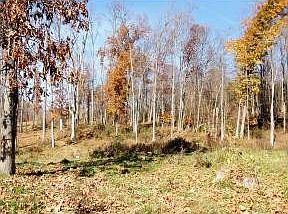 5th image of 463 Midway Dr