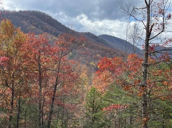 LOT 2 Caney Crk, Pigeon Forge, TN 37863