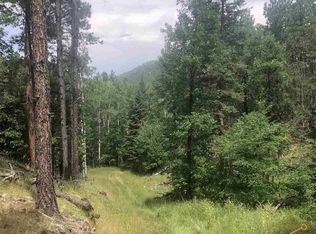 Echo Valley Rd, Keystone, SD 57751