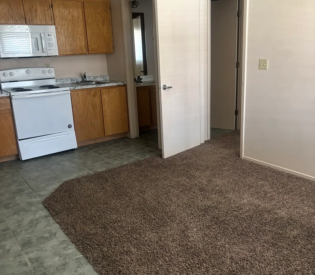 1 bed, 440 sqft, $910 — Photo 3