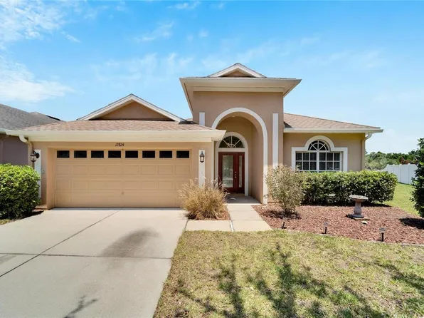 12824 Hampton Hill Dr, Riverview, FL 33578