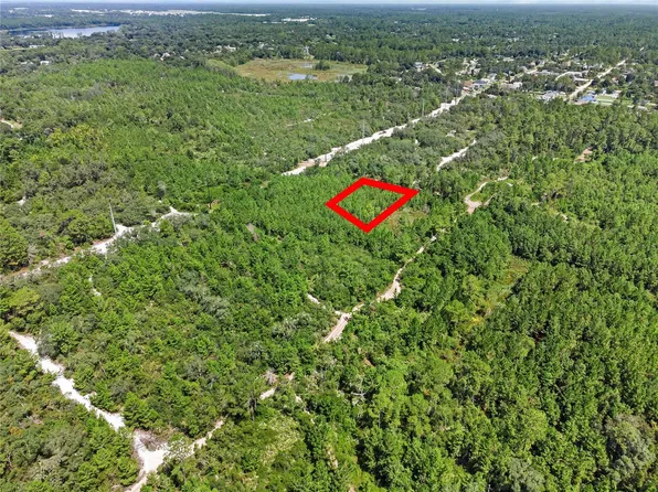 PARCEL 230 E Holly Hock Rd, Deland, FL 32724