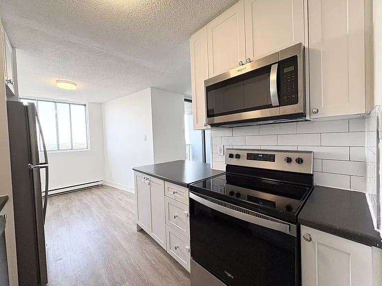 294 Chandler Dr #1408 — Photo 7