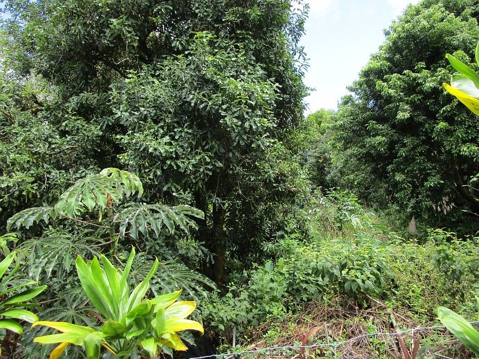2nd image of LOT 27 B Rd