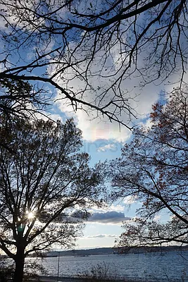 Rented by Citi Nest Group LLC | media 31