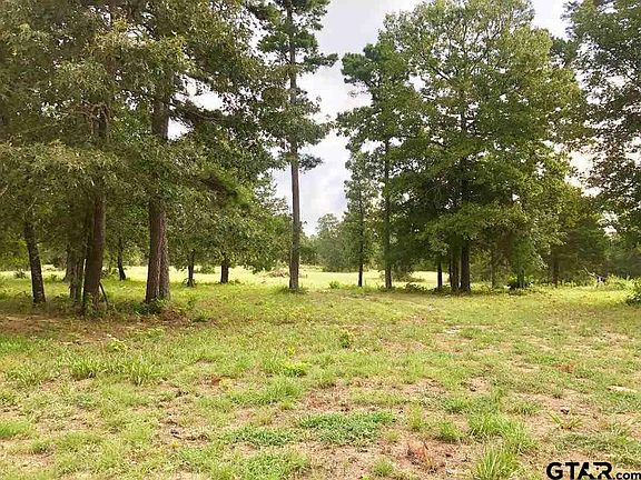 3rd image of LOT 65 County Road 3419