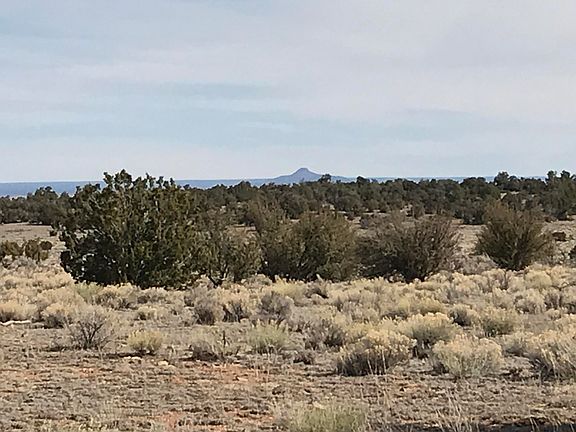 4th image of 5597 S Cattle Tank Rd