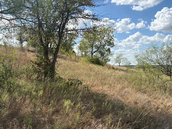 19 Parks Medow Dr, Gustine, TX 76455