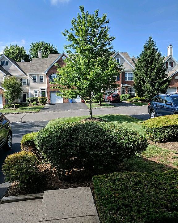 2nd image of 1503 S Branch Dr