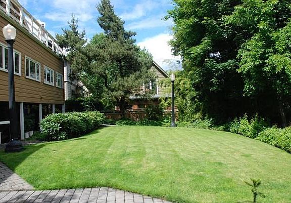 Shared common area (back yard)