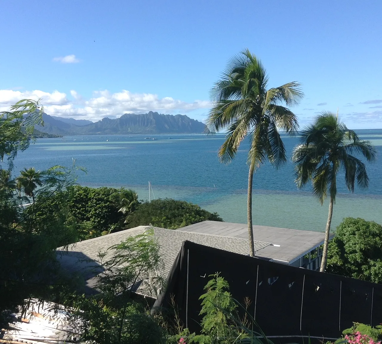 Club St, Kaneohe — Photo 3