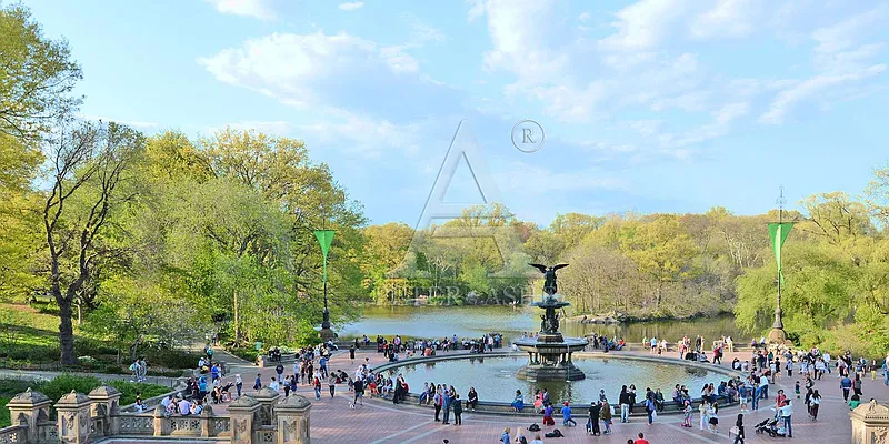 Sold by Peter Ashe | media 30