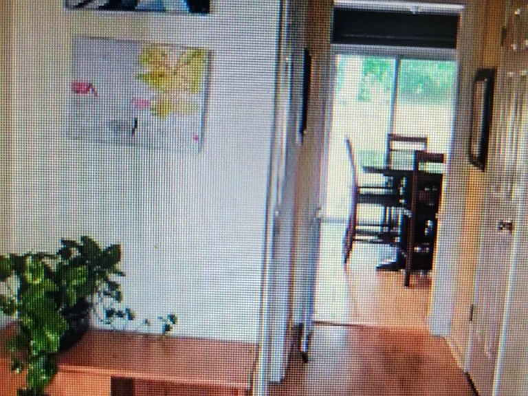 5409 Branchwood Way — Photo 8