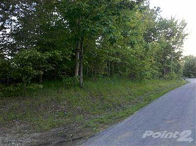 Nice spot for a walk