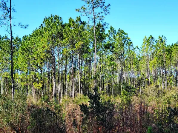 0 Rick Rd, Perry, FL 32347