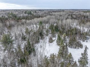 8428 Old Cemetary Rd, Tower, MN 55790