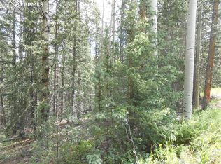 109 Hillside Ter, Cripple Creek, CO 80813
