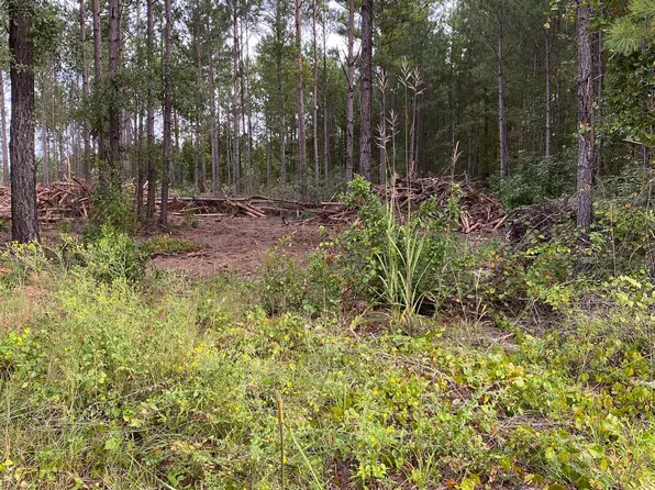 10 Tom Brown Rd, Sparta, GA 31087