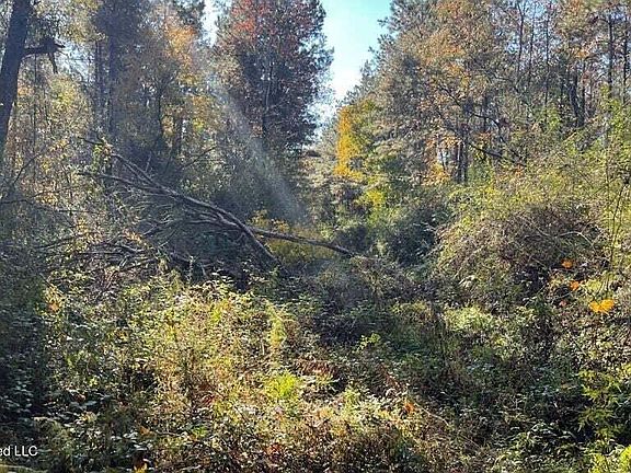 2nd image of Schmidt Rd